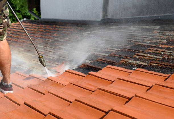 Best Pressure Washing Near Me  in Mission Viejo, CA